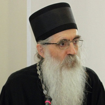 Bishop Irinej of Backa, Patriarchate of Serbia