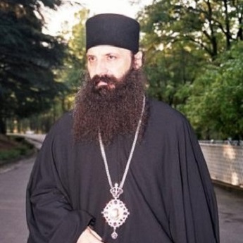 Metropolitan Porfirije of Zagreb and Ljubljana, Patriarchate of Serbia